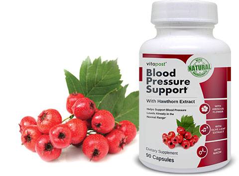 blood pressure support supplement